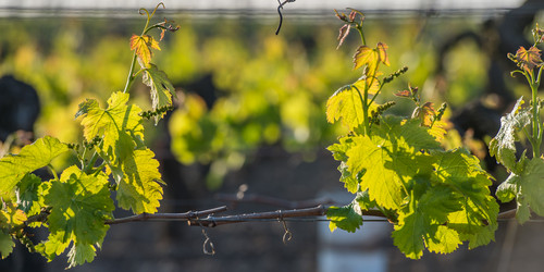 Similar image 14870473