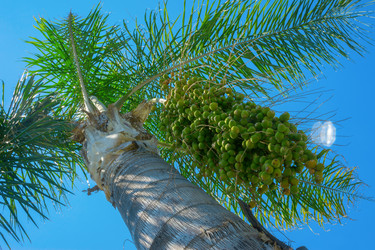 Similar image 13633606