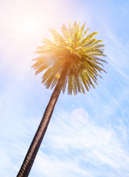 Similar image 14242697