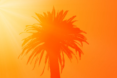 Similar image 14242721