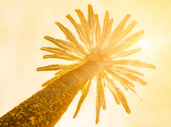 Similar image 14271908