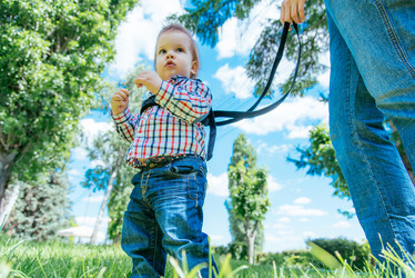 Similar image 14513214