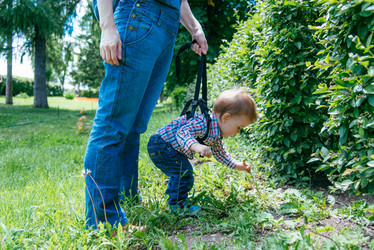 Similar image 14513224