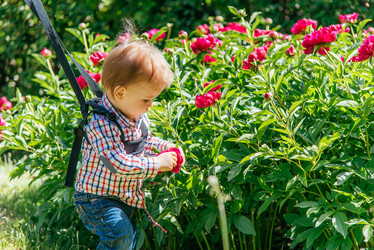 Similar image 14513232