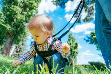 Similar image 14513211