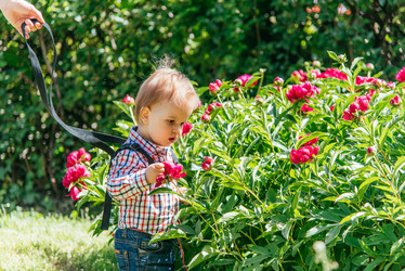 Similar image 14513221