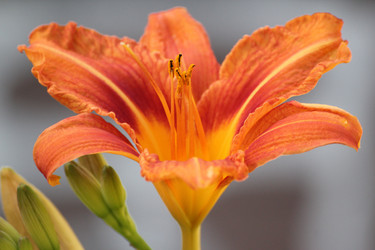 Similar image 14508256