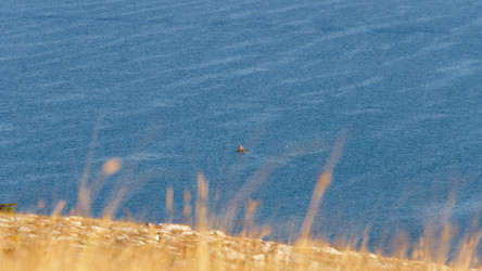 Similar image 13621129