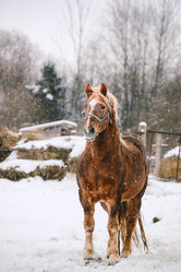 Similar image 13633445