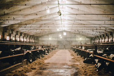 Similar image 13633533