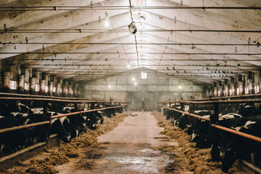 Similar image 13633588