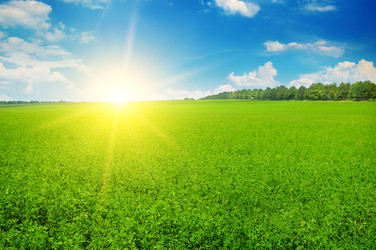 Similar image 14508587