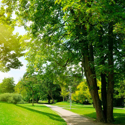 Similar image 14508436