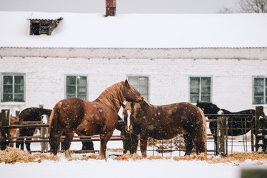 Similar image 13633649