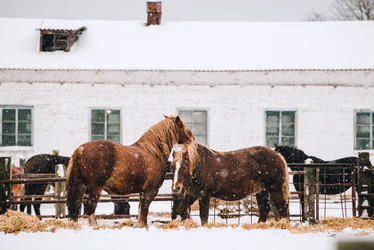 Similar image 13634246