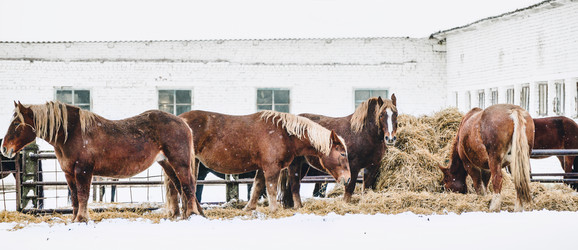 Similar image 13634741