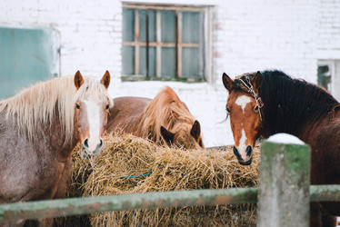 Similar image 13634840