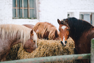 Similar image 13635072