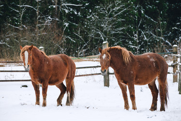 Similar image 13635151