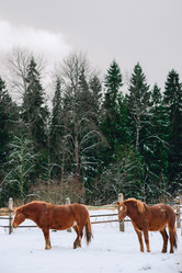 Similar image 13635207