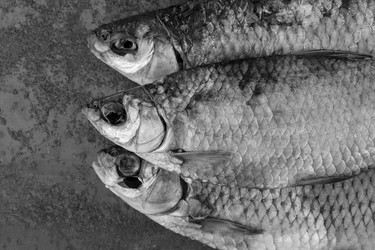 Similar image 14514705