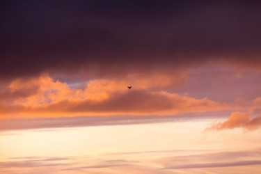 Similar image 14514801