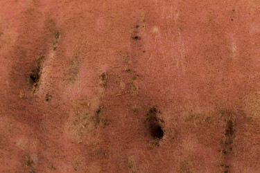 Similar image 14514832