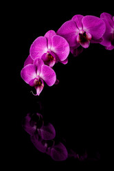 Similar image 14514843