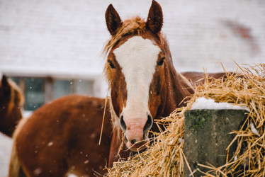 Similar image 13635315