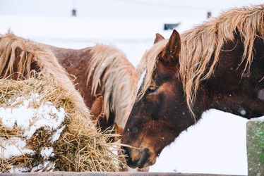 Similar image 13635401