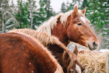 Similar image 13635484