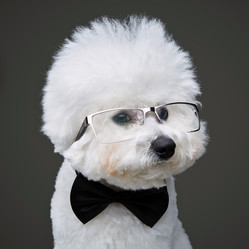 Similar image 14870101