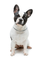 Similar image 14867283