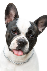 Similar image 14867285