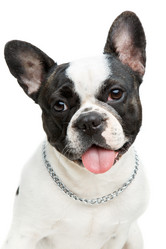 Similar image 14867286