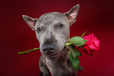 Similar image 14867417