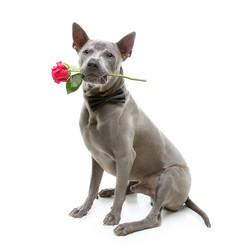 Similar image 14867420