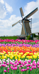 Similar image 14873550