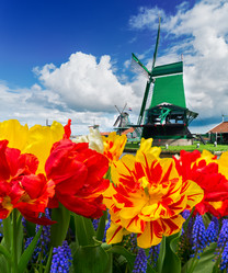 Similar image 14873640