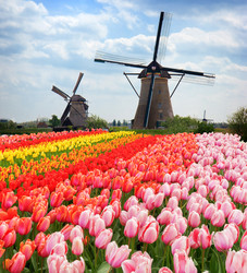 Similar image 14873644