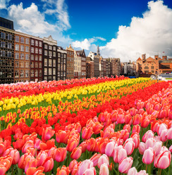 Similar image 14873736