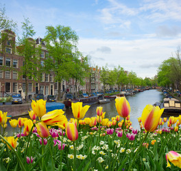 Similar image 14873495