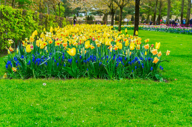 Similar image 14873167