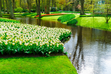 Similar image 14873225