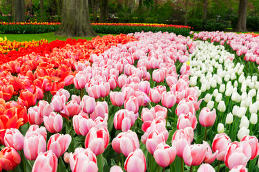 Similar image 14873249