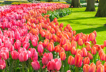 Similar image 14873263