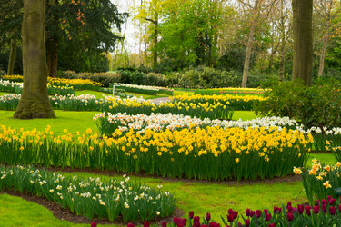 Similar image 14873264