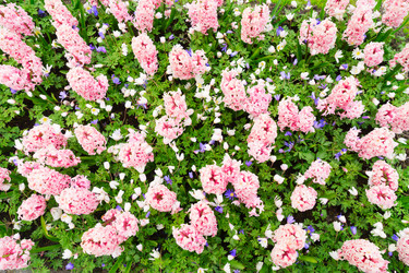 Similar image 14873287