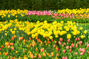 Similar image 14873288