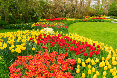 Similar image 14873320